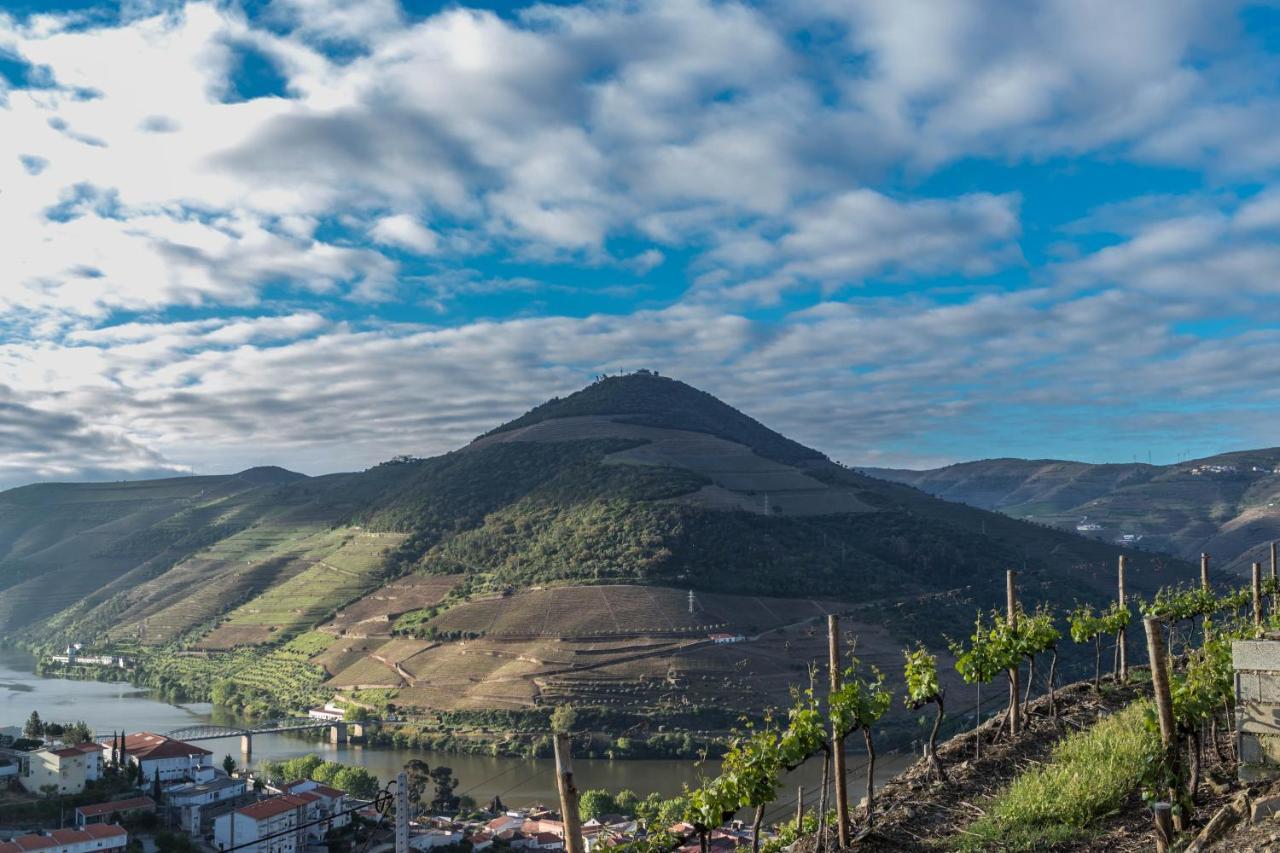 Dois Lagares House Bed and Breakfast Pinhão Exteriör bild