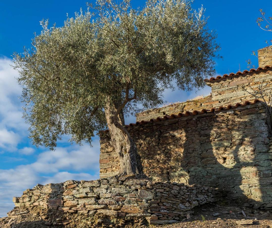 Dois Lagares House Bed and Breakfast Pinhão Exteriör bild