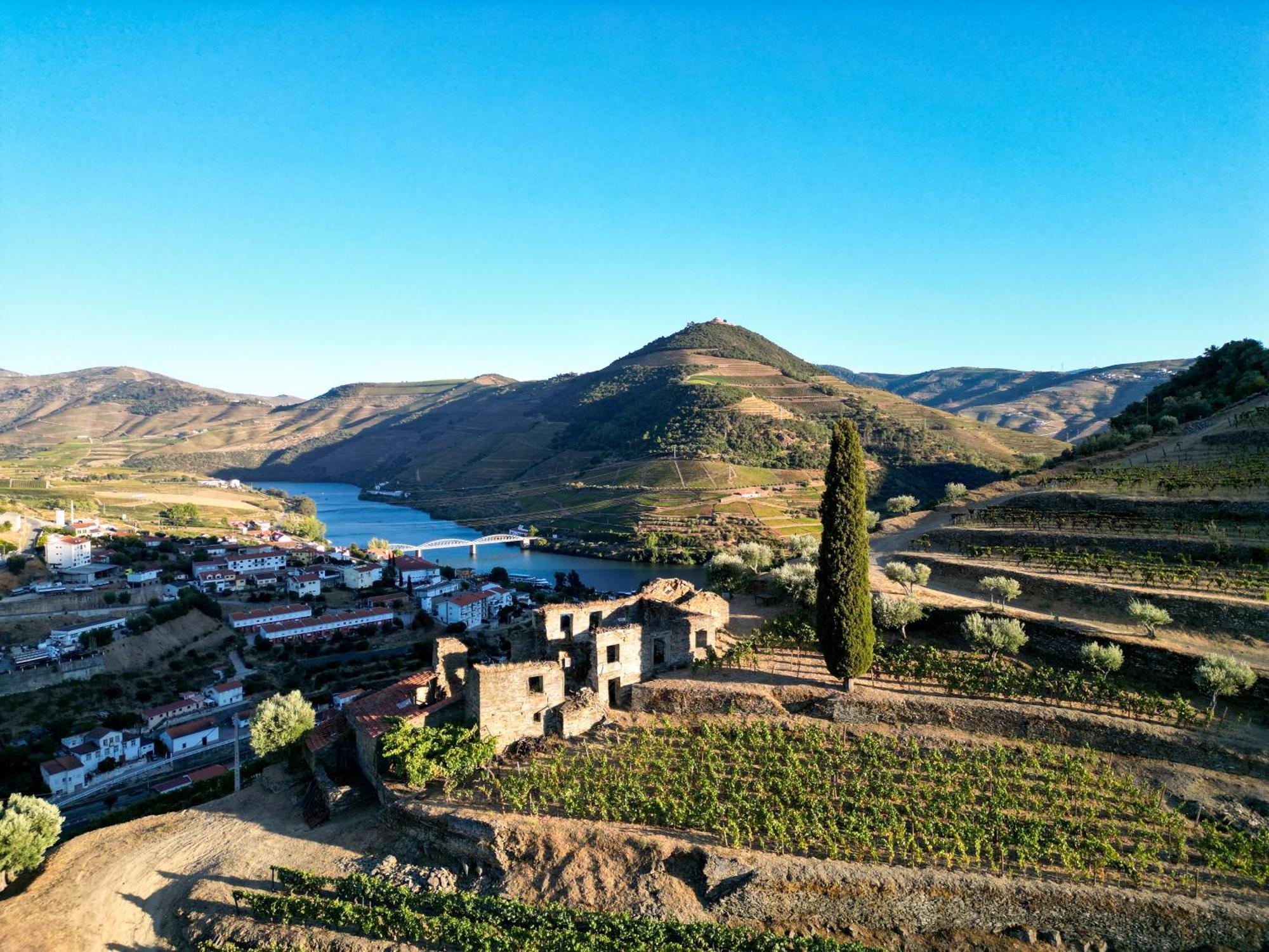 Dois Lagares House Bed and Breakfast Pinhão Exteriör bild